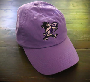 Flag Willie Lavender Dad Hat